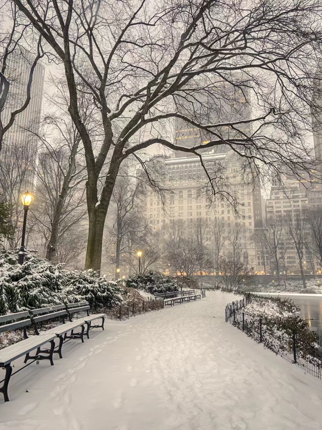 ❄️太原大雪预警！12.11-12迎初雪！