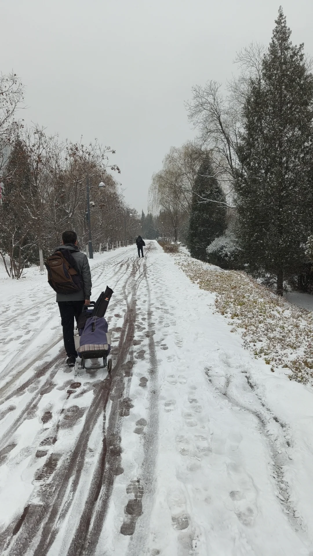 太原下雪了🌨️雪落人间的寂静诗❄️