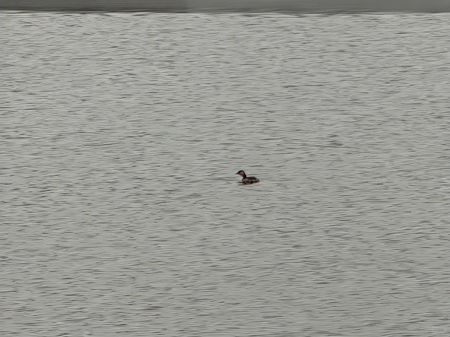 太原下雪了🌨️雪落人间的寂静诗❄️