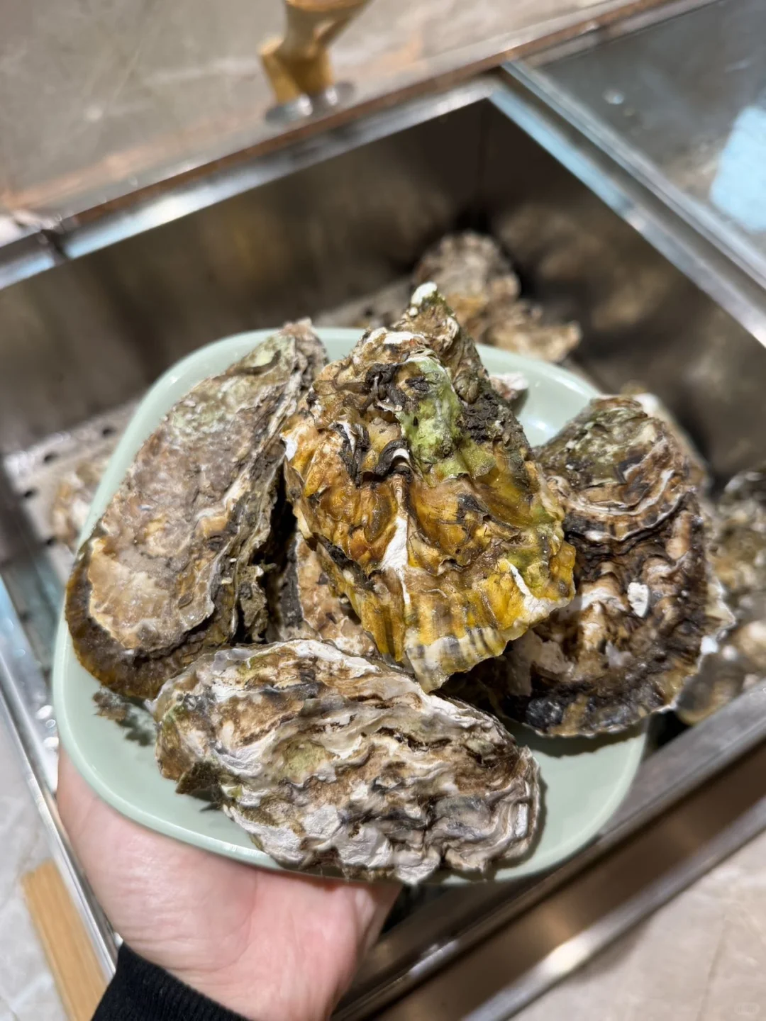 太原…我唯一吃回本的自助！