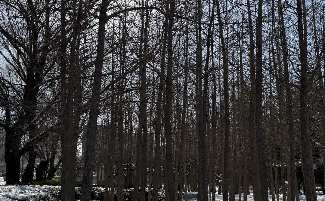 长治的冬天其实也挺好跑的