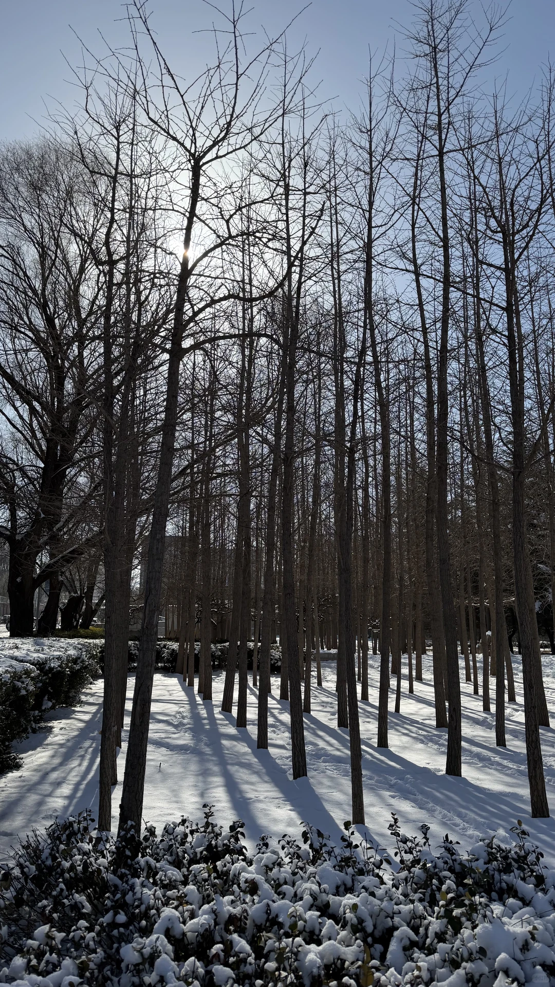 长治的冬天其实也挺好跑的