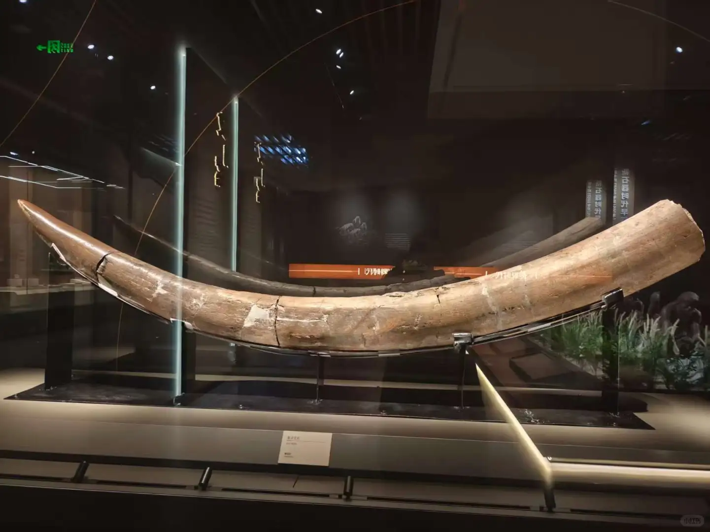 长治博物馆我心中的网红文物！一定会火🔥