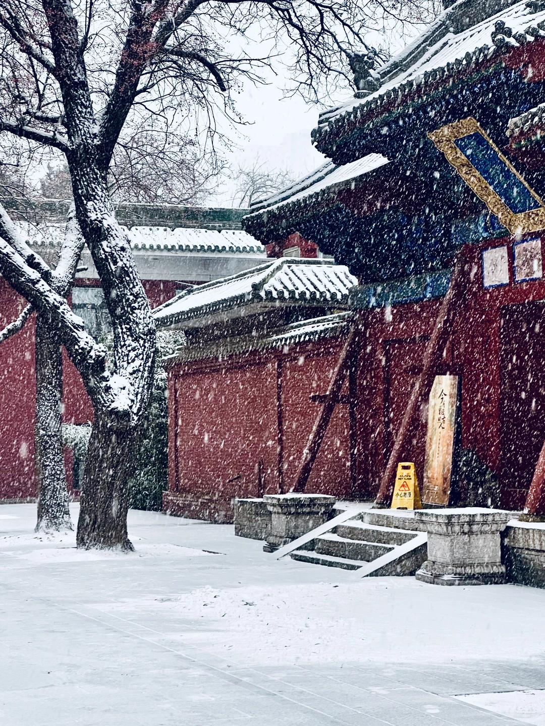 ❄️12.12太原初雪！文庙！这一刻美成了诗…
