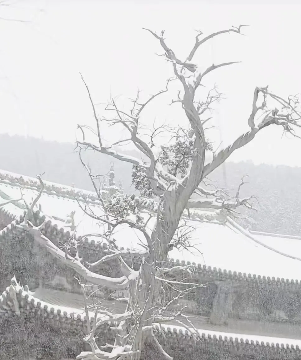 太原初雪❄️2025赏雪攻略请收好