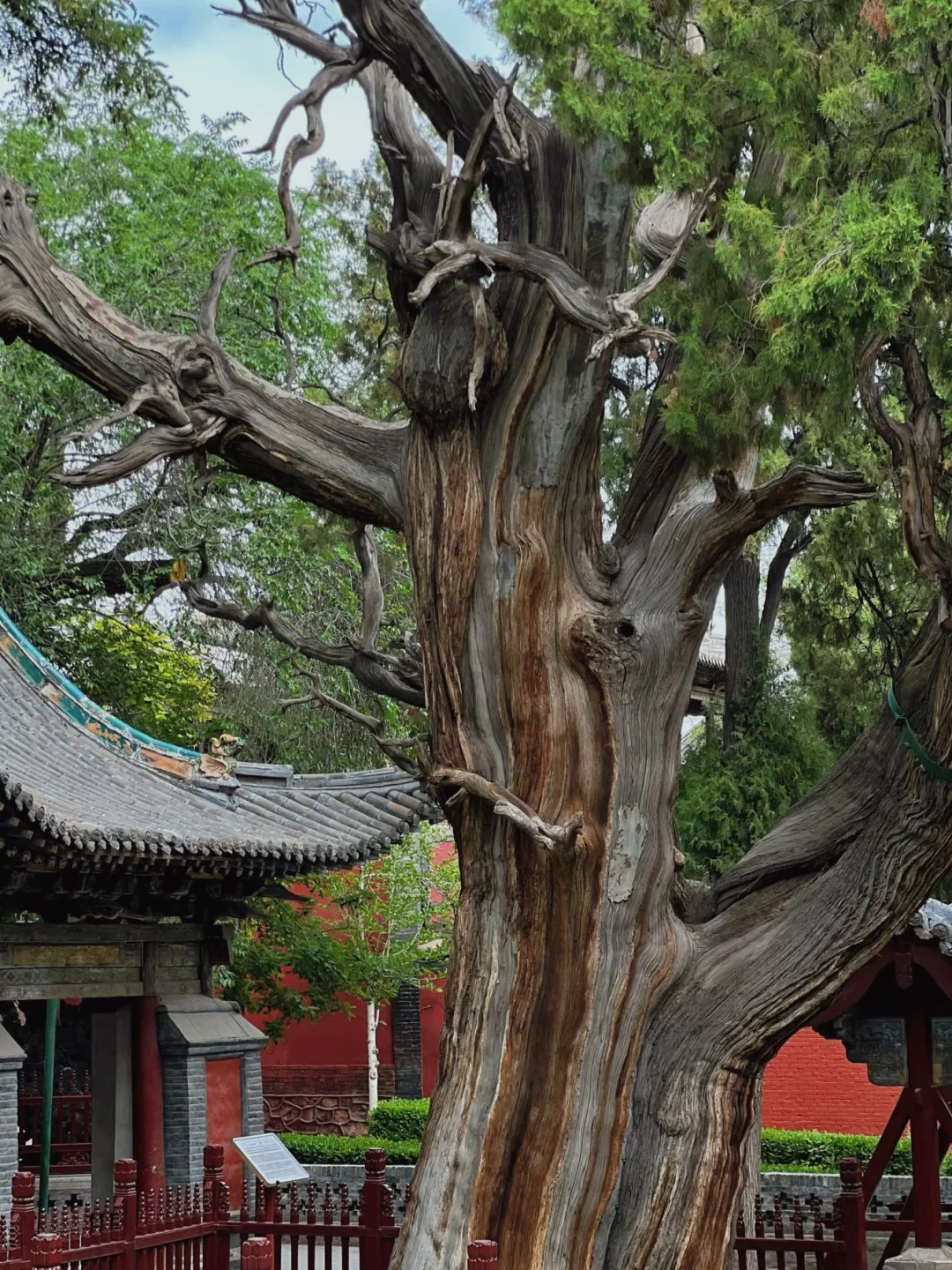 山西晋祠如何看懂？精华梳理全在这篇！