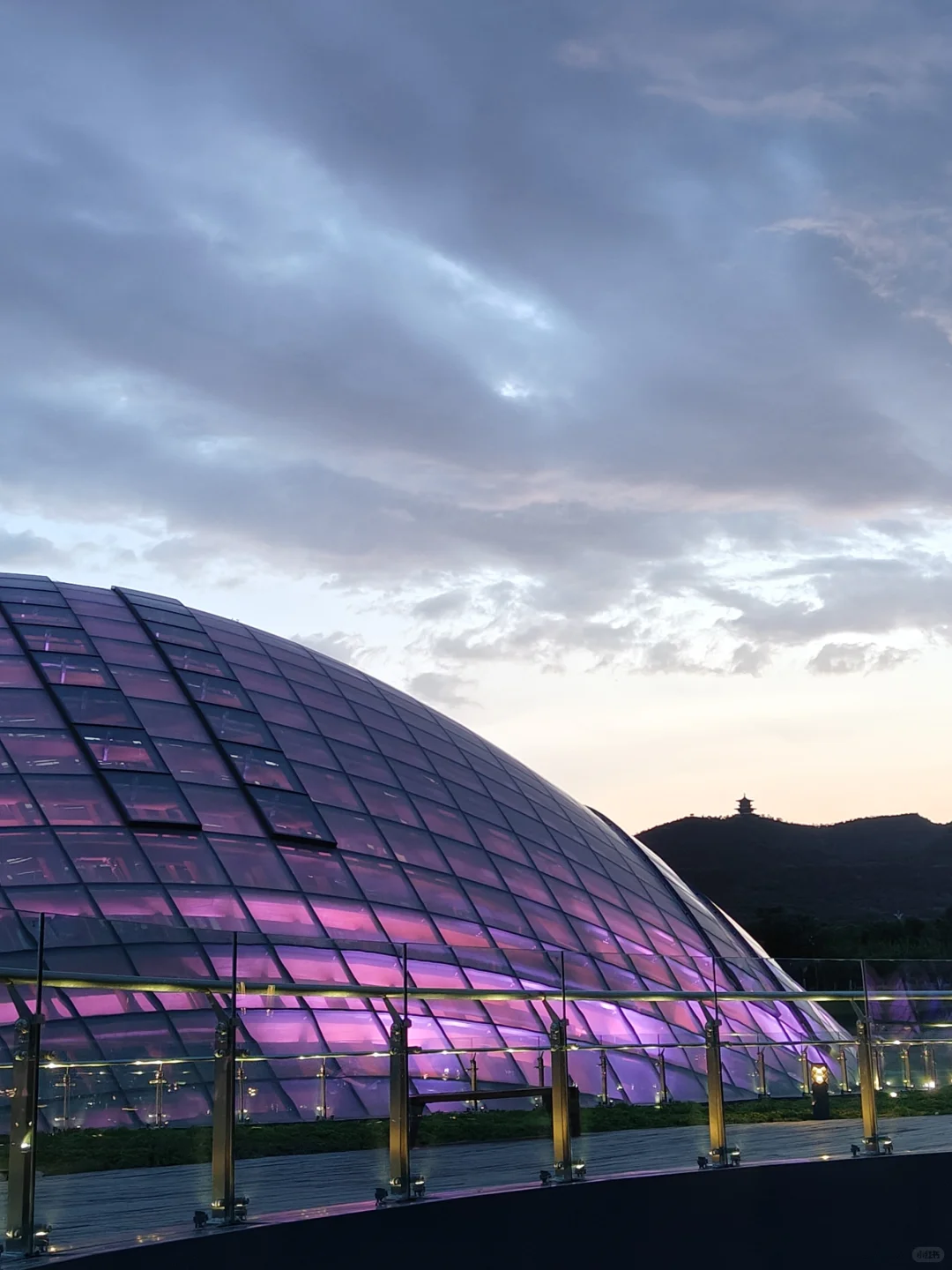 太原植物园❗️