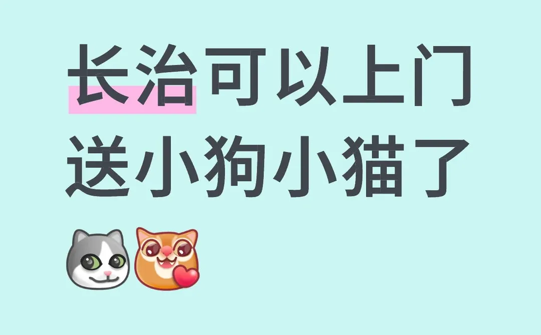 长治不知道去哪看小猫小狗的