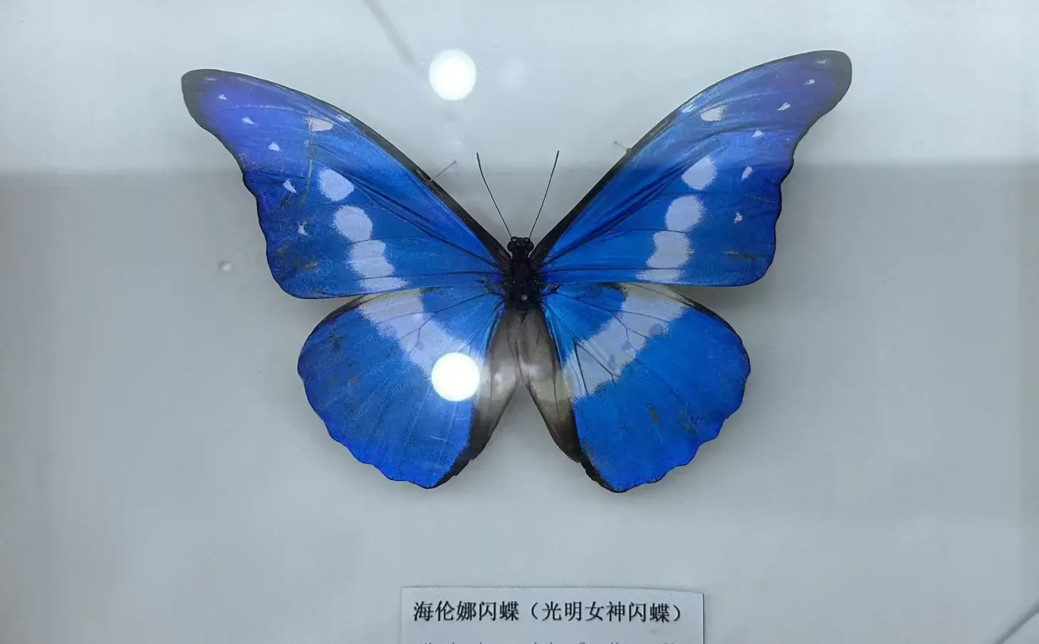 太原植物园！！超全游玩攻略！！一定要看！