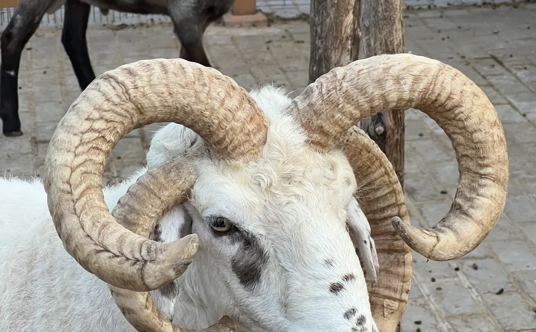 太原植物园也太大了！