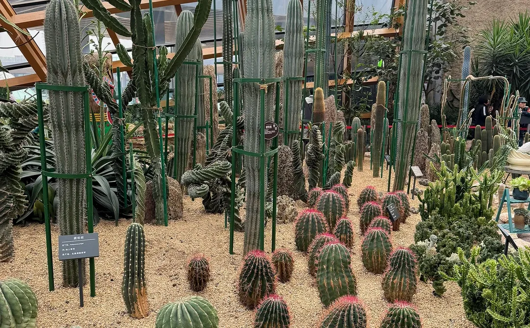 太原植物园，星空扶梯才是这里的主角