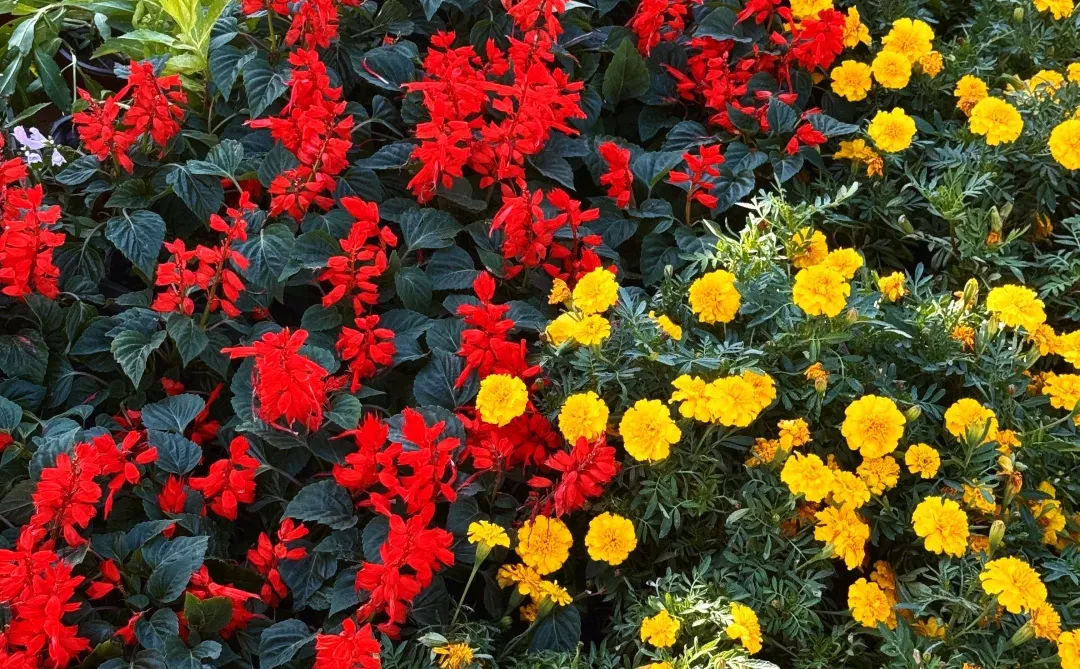 又一个新地标打卡？！