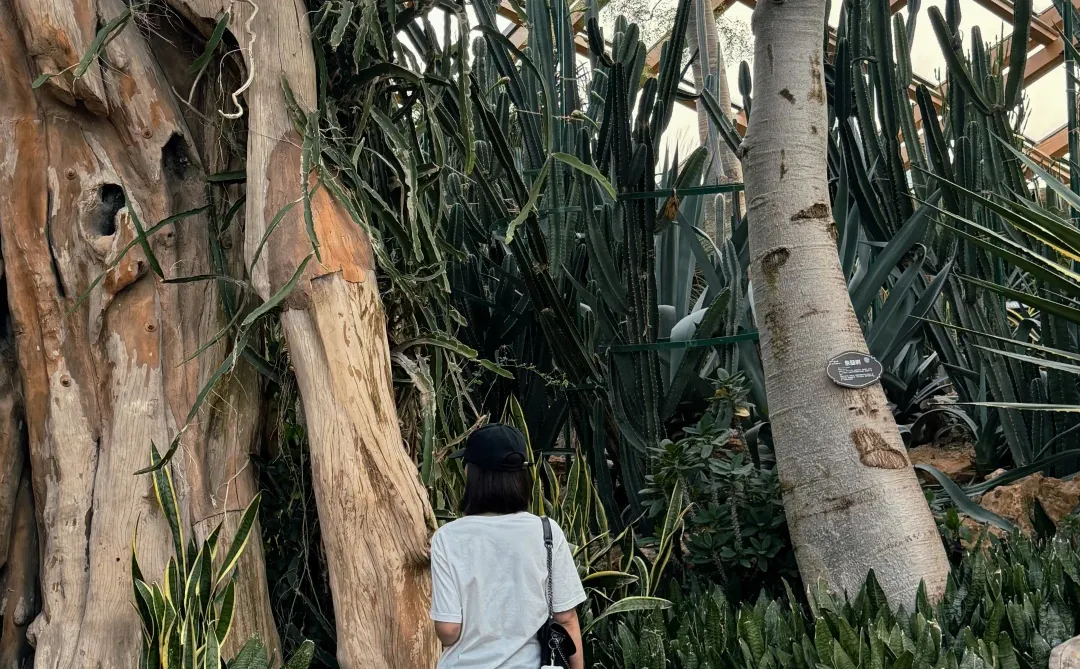 在太原 一定要去的地方📸