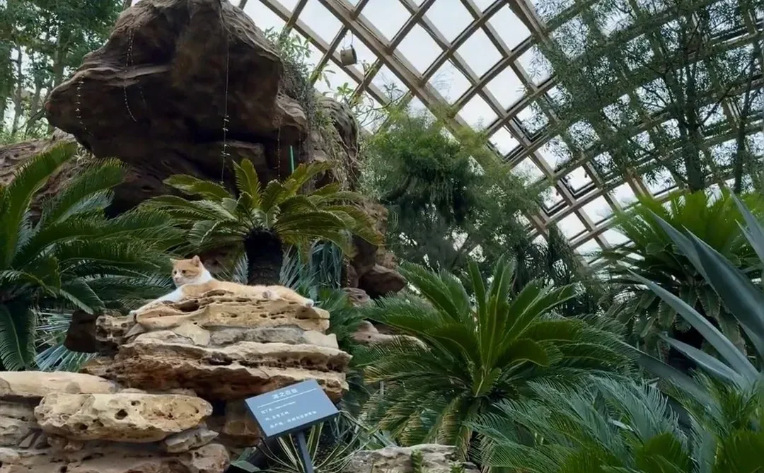 🎉太原植物园🌵🌴｜绝美出片攻略来啦✨