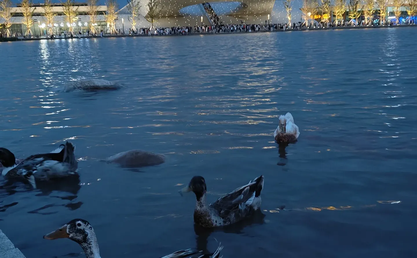 太原植物园❗️