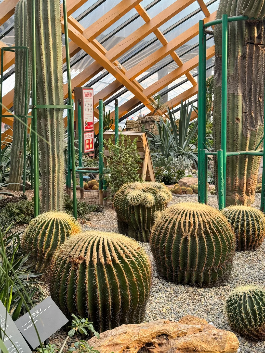 太原植物园，星空扶梯才是这里的主角