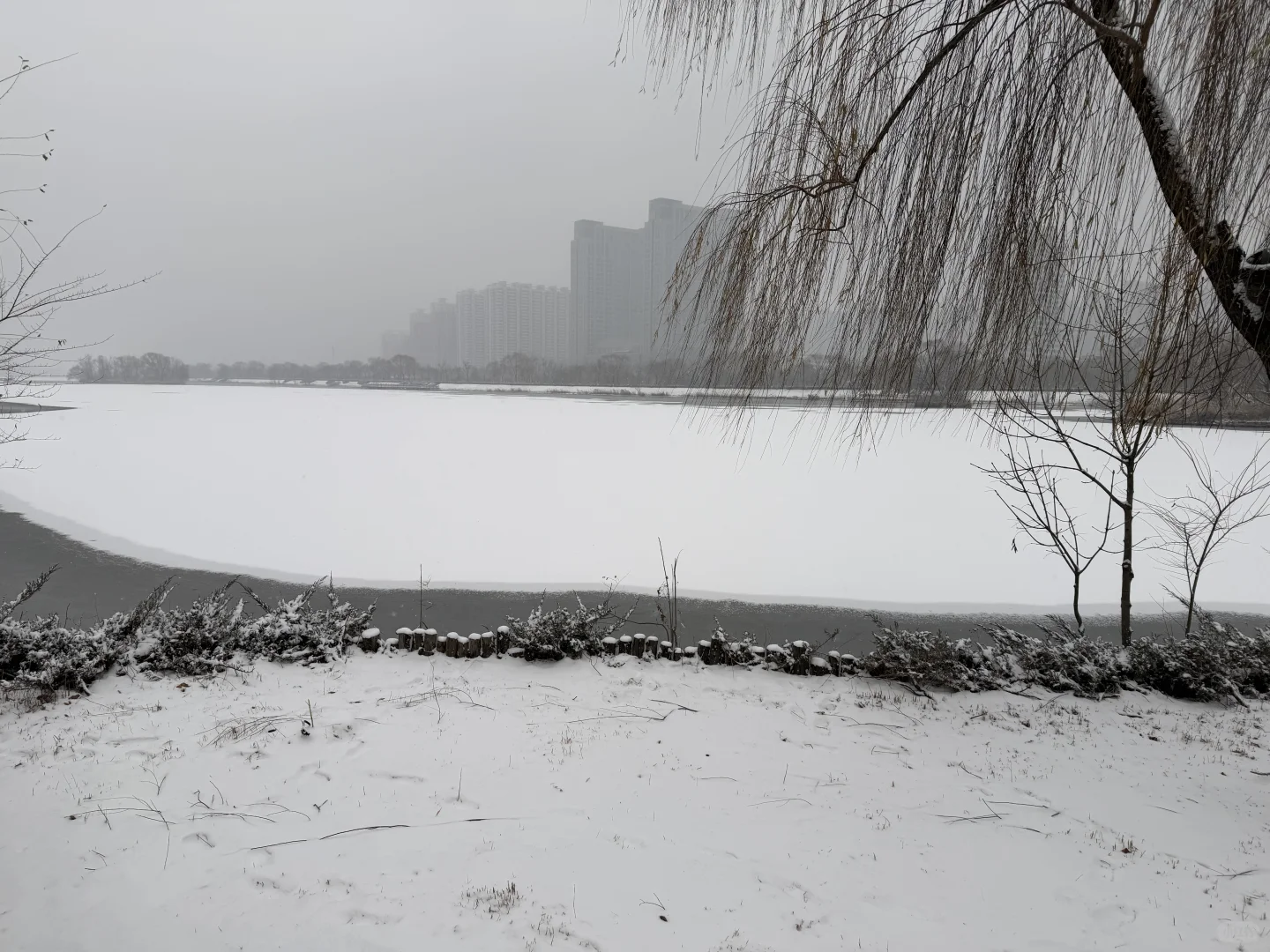 一下雪，太原就变成了太原