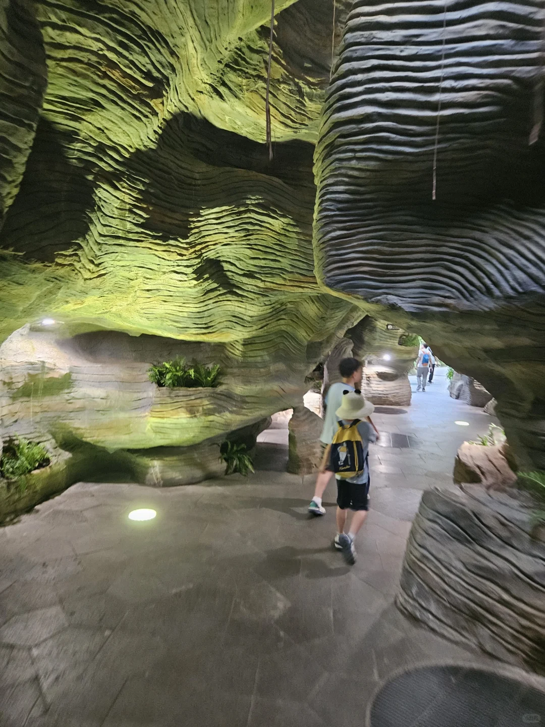 太原植物园网红电梯值得吗？实测