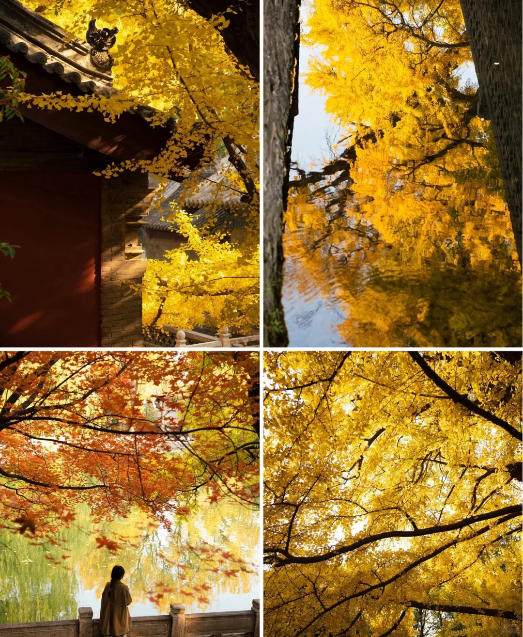 再见👋🏻太原，再见👋🏻山西，我很会在来的