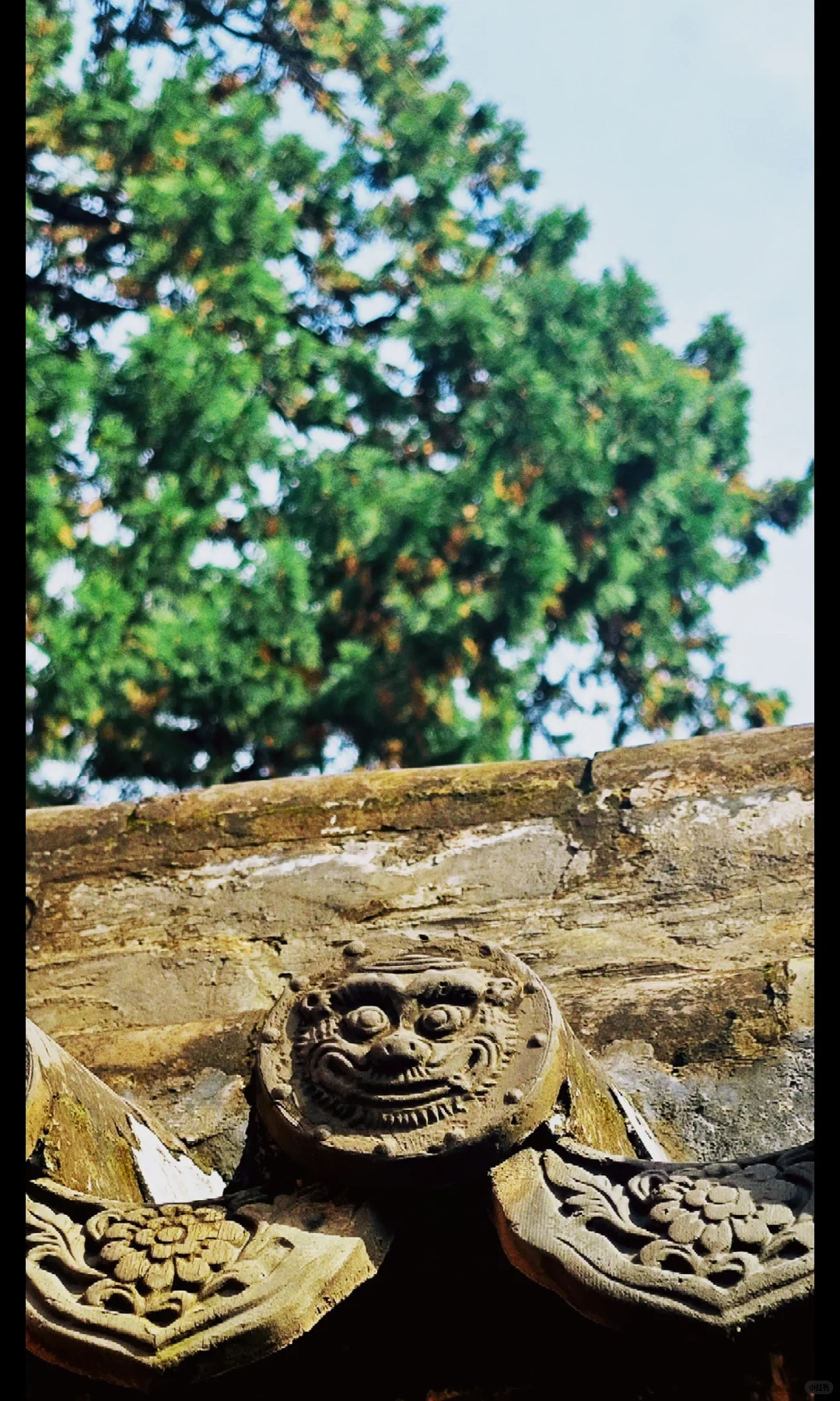 被山西硬控了…