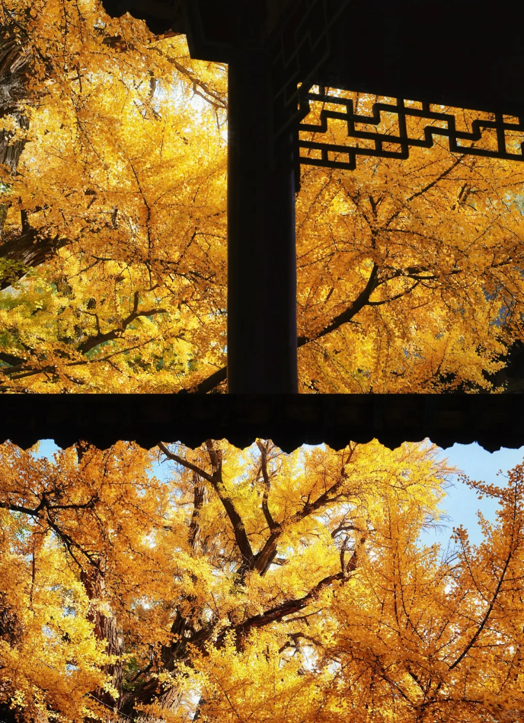 再见👋🏻太原，再见👋🏻山西，我很会在来的