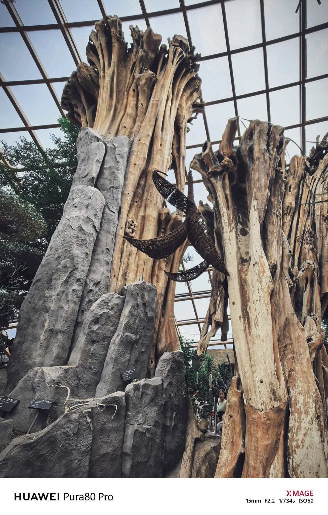 太原植物园—在华北最大温室群畅享森系治愈