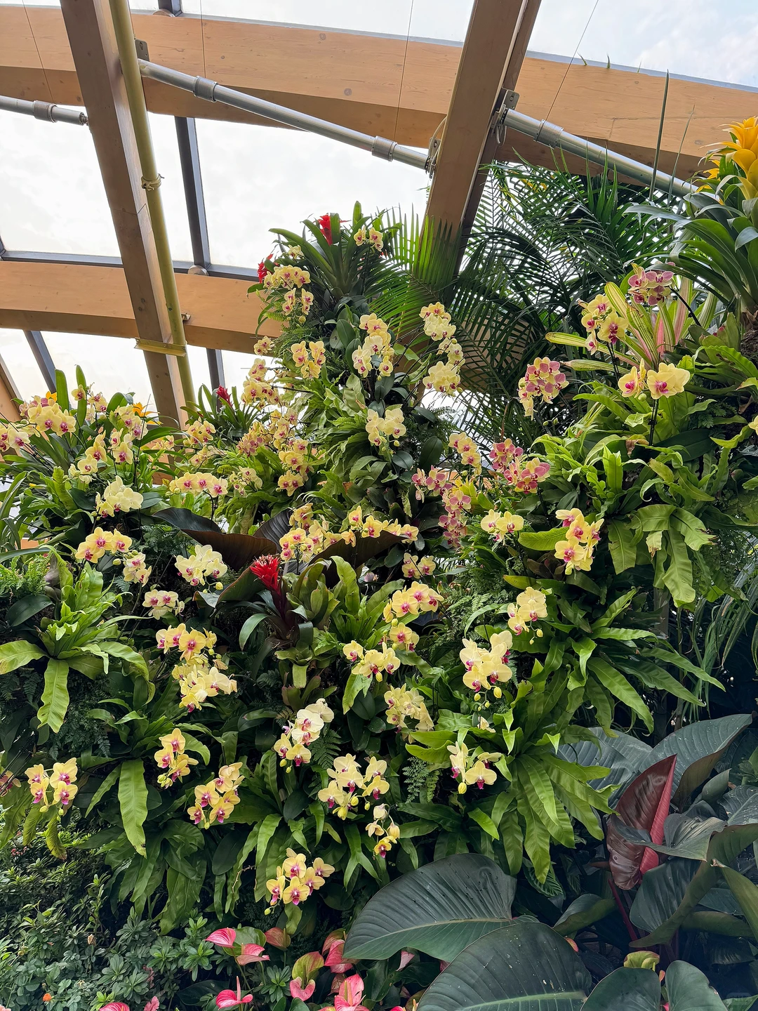 太原植物园，星空扶梯才是这里的主角