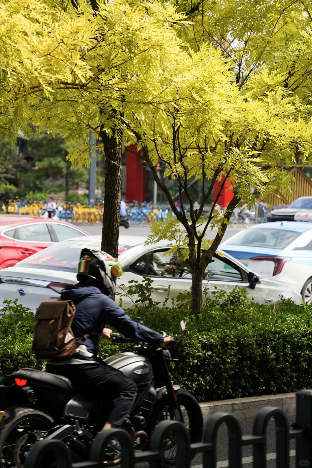 日均2万步，太原真的有点好逛