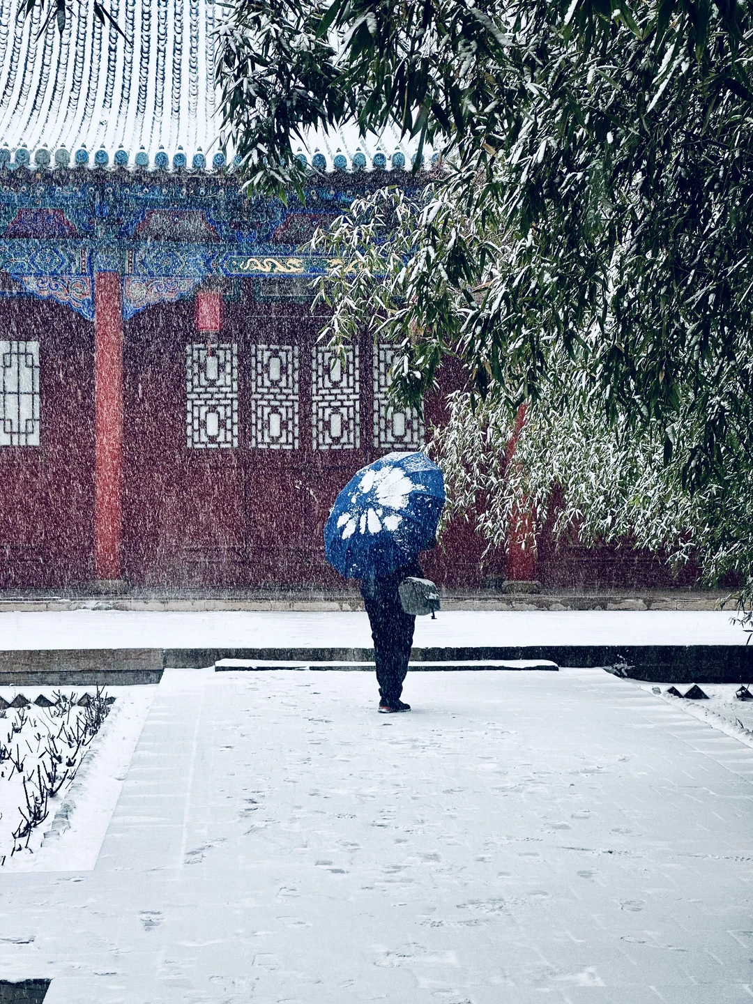 ❄️12.12太原初雪！文庙！这一刻美成了诗…