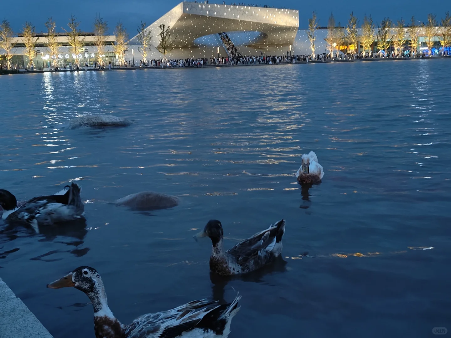 太原植物园❗️