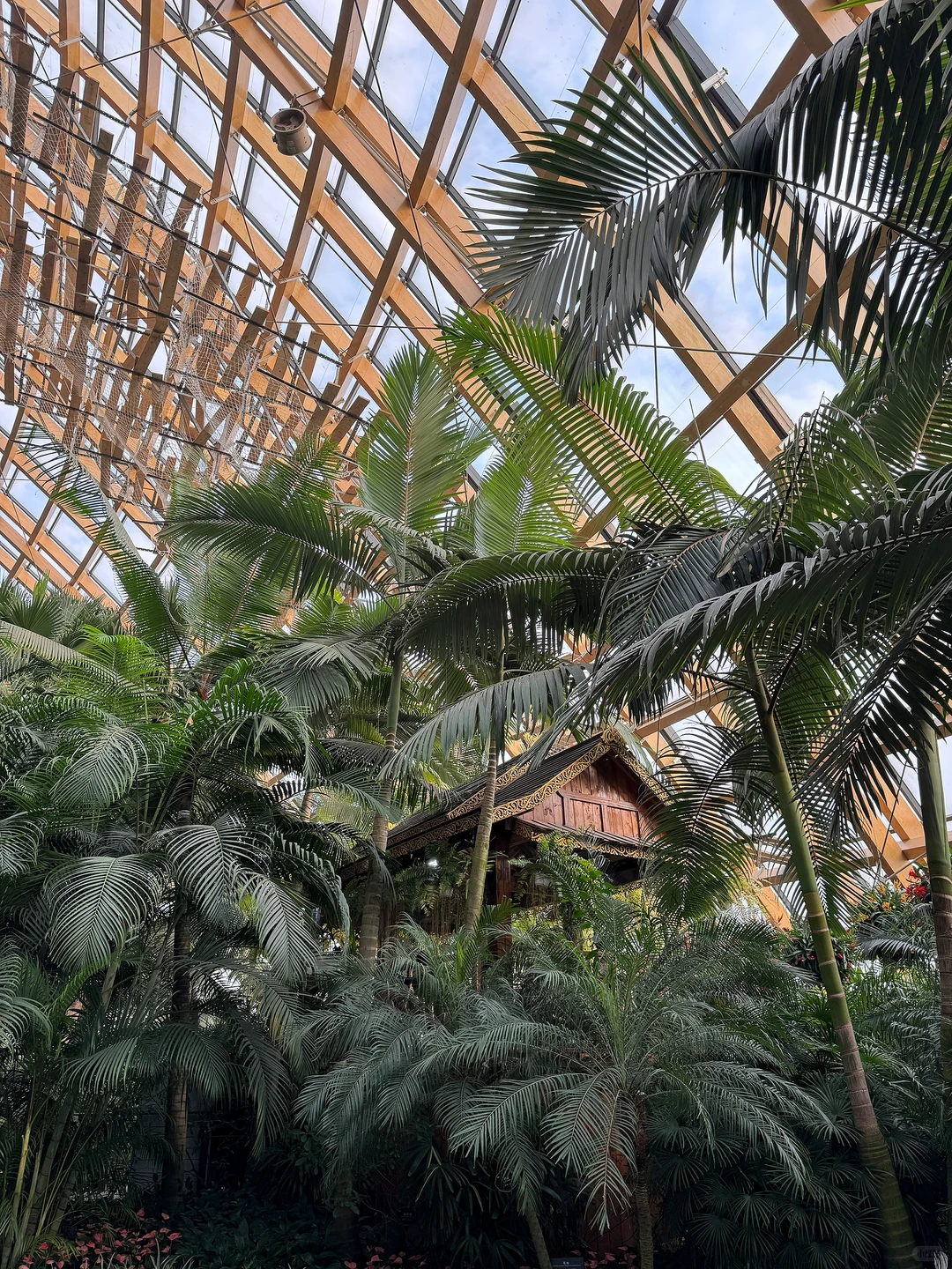 太原植物园，星空扶梯才是这里的主角