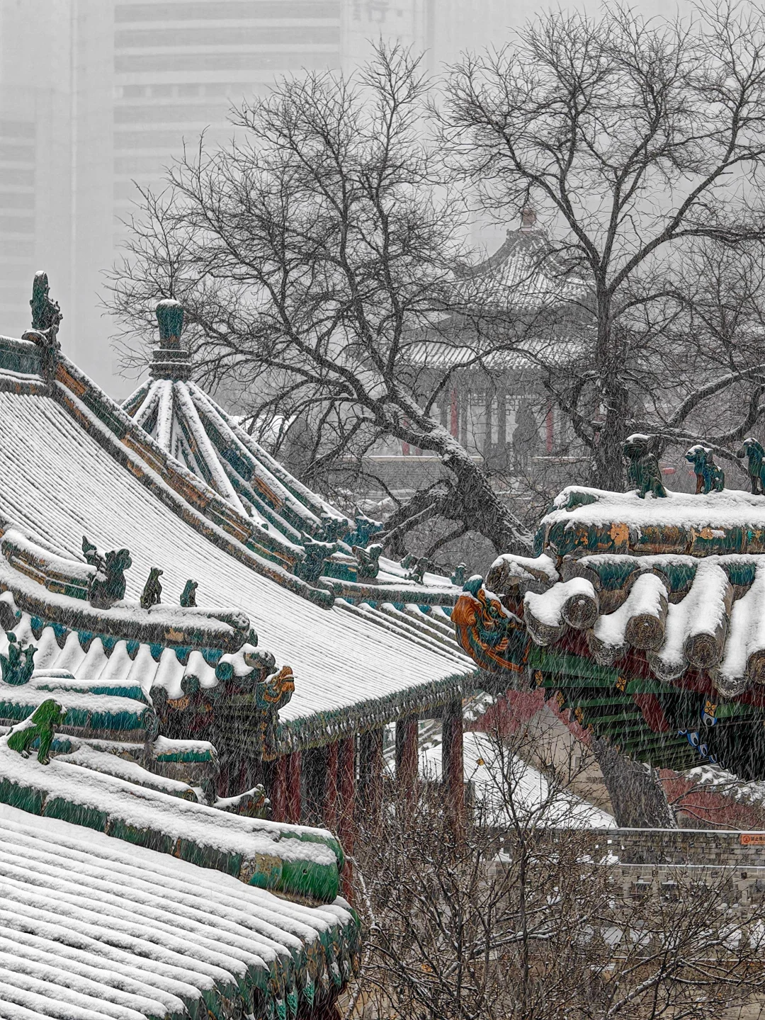 太原租车价格💰人均40太原租车攻略🚗