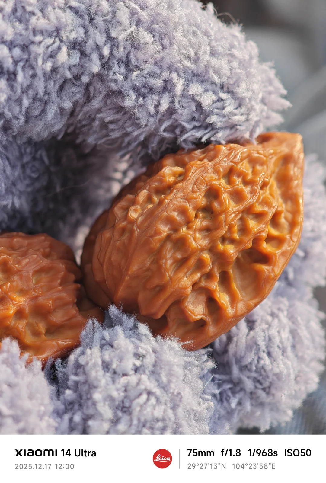 【长治官帽】阳光是最好的滤镜