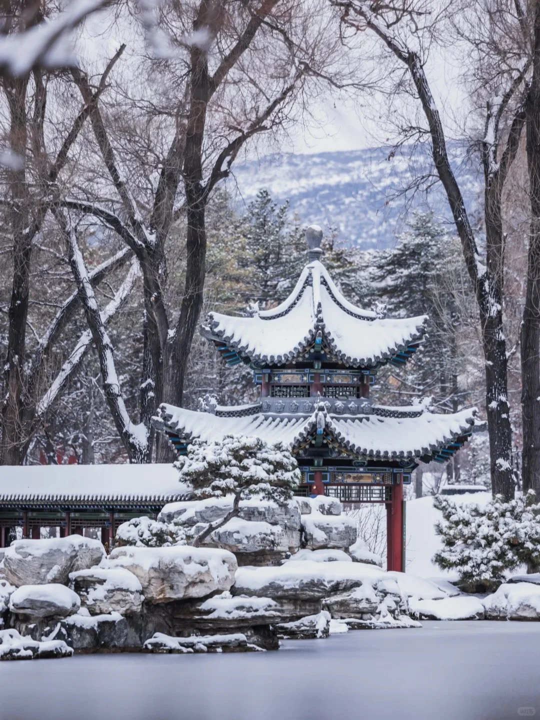 没有人能拒绝下过雪❄️的太原！