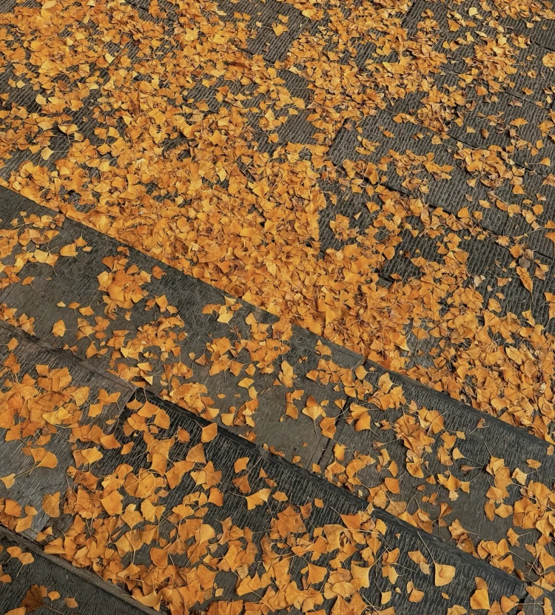 再见👋🏻太原，再见👋🏻山西，我很会在来的