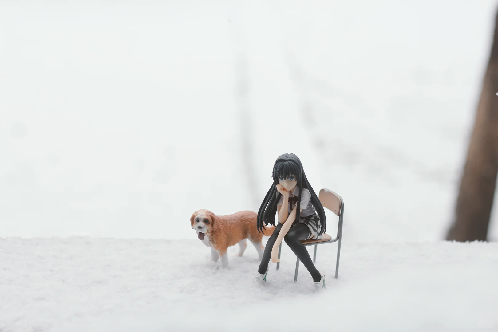 雪后的太原美到犯规！