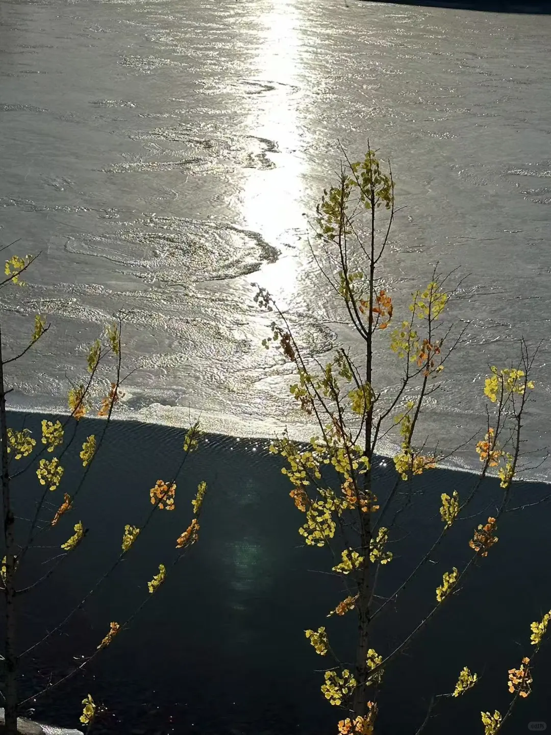 太原植物园！！超全游玩攻略！！一定要看！