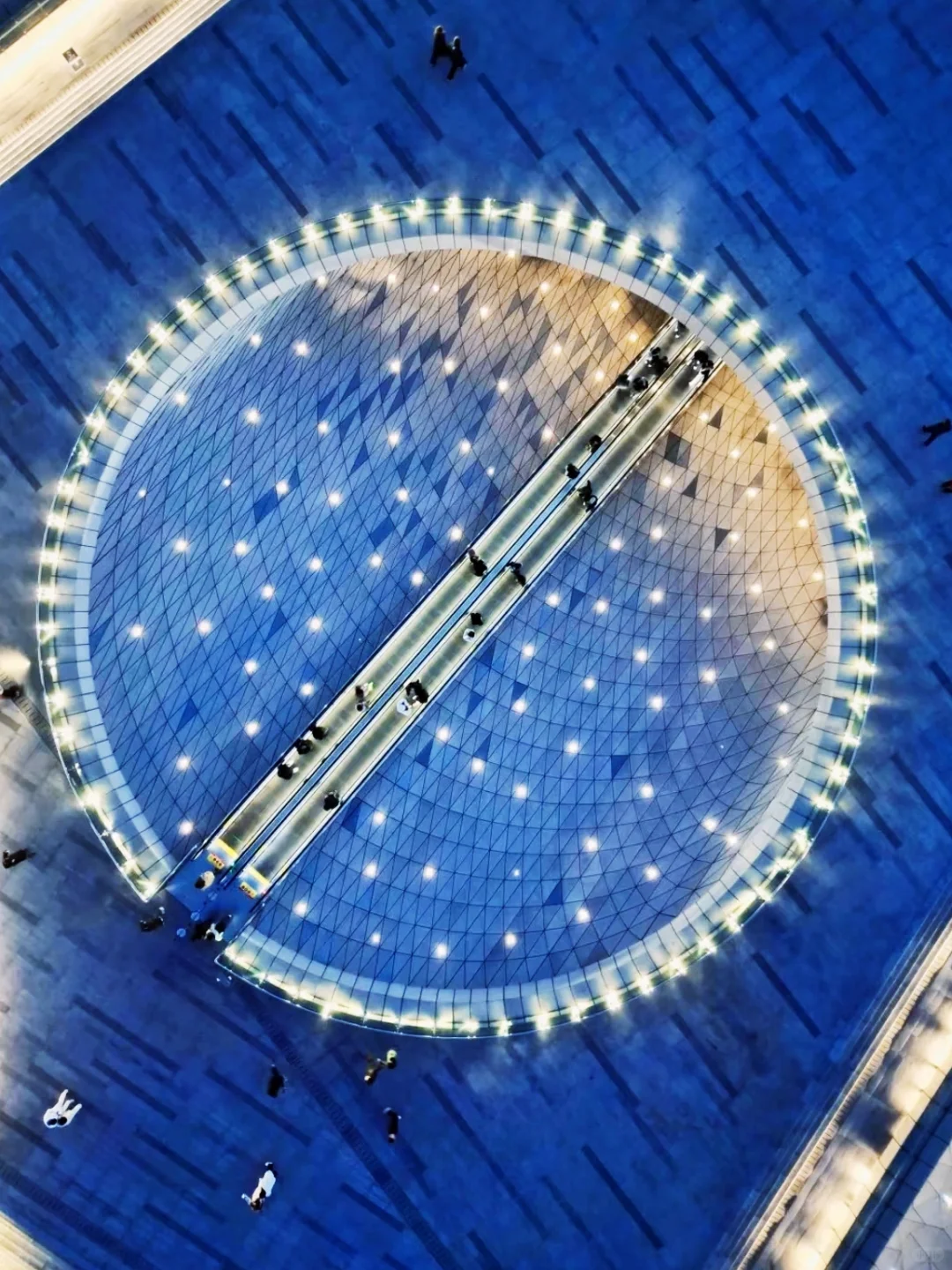 太原植物园 | 星空电梯 | 真的太美了！