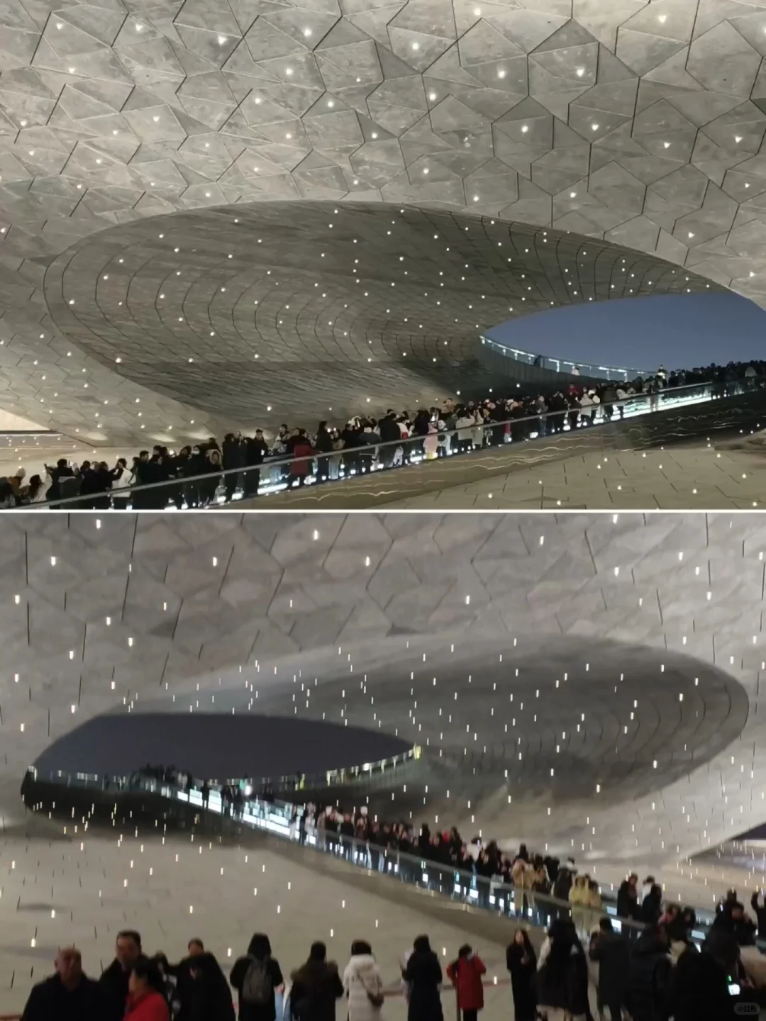 讲真！一部星空电梯拯救了太原植物园