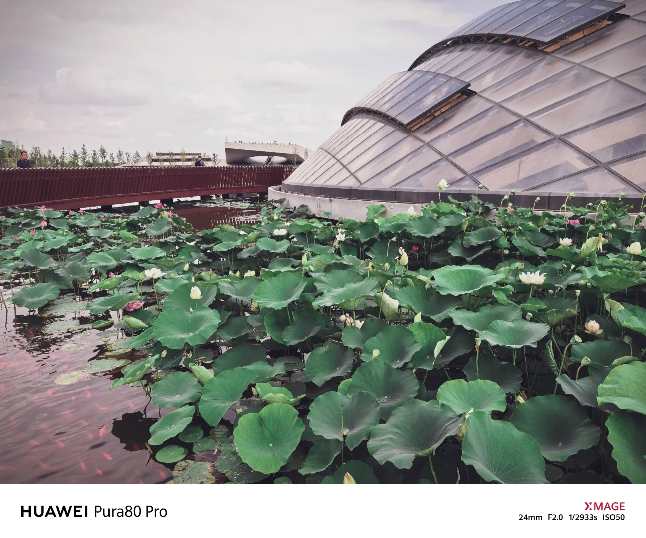 太原植物园—在华北最大温室群畅享森系治愈