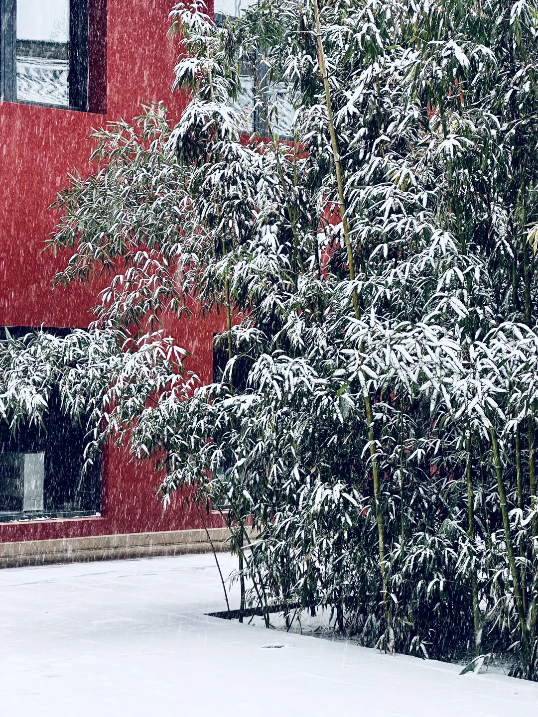 ❄️12.12太原初雪！文庙！这一刻美成了诗…