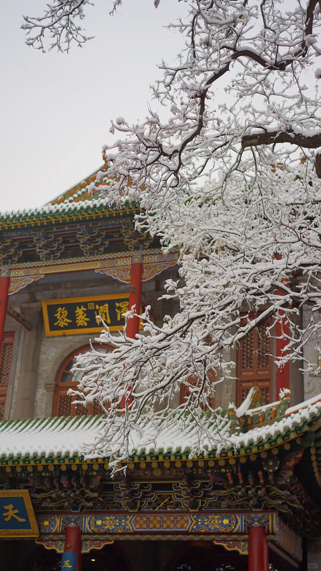 太原|周五下雪去哪拍