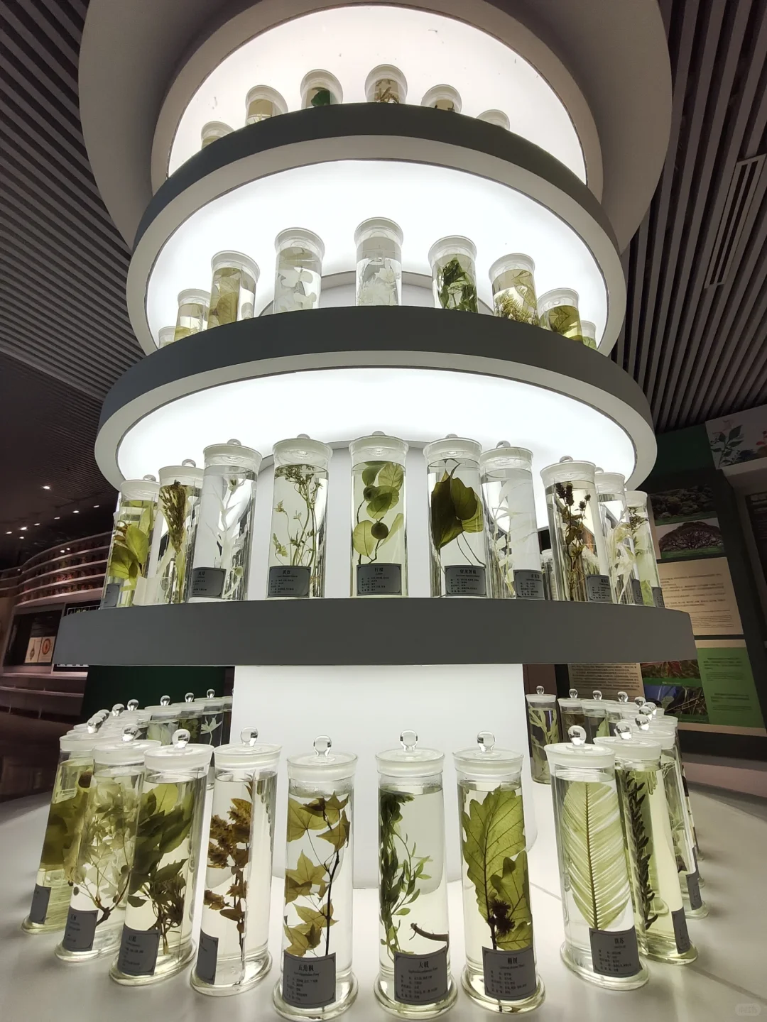 太原植物园❗️