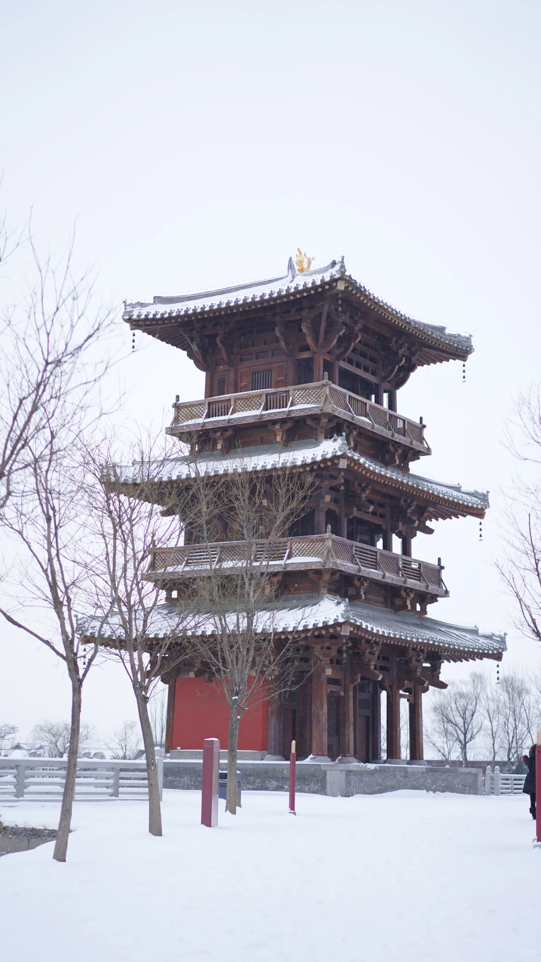 太原|周五下雪去哪拍