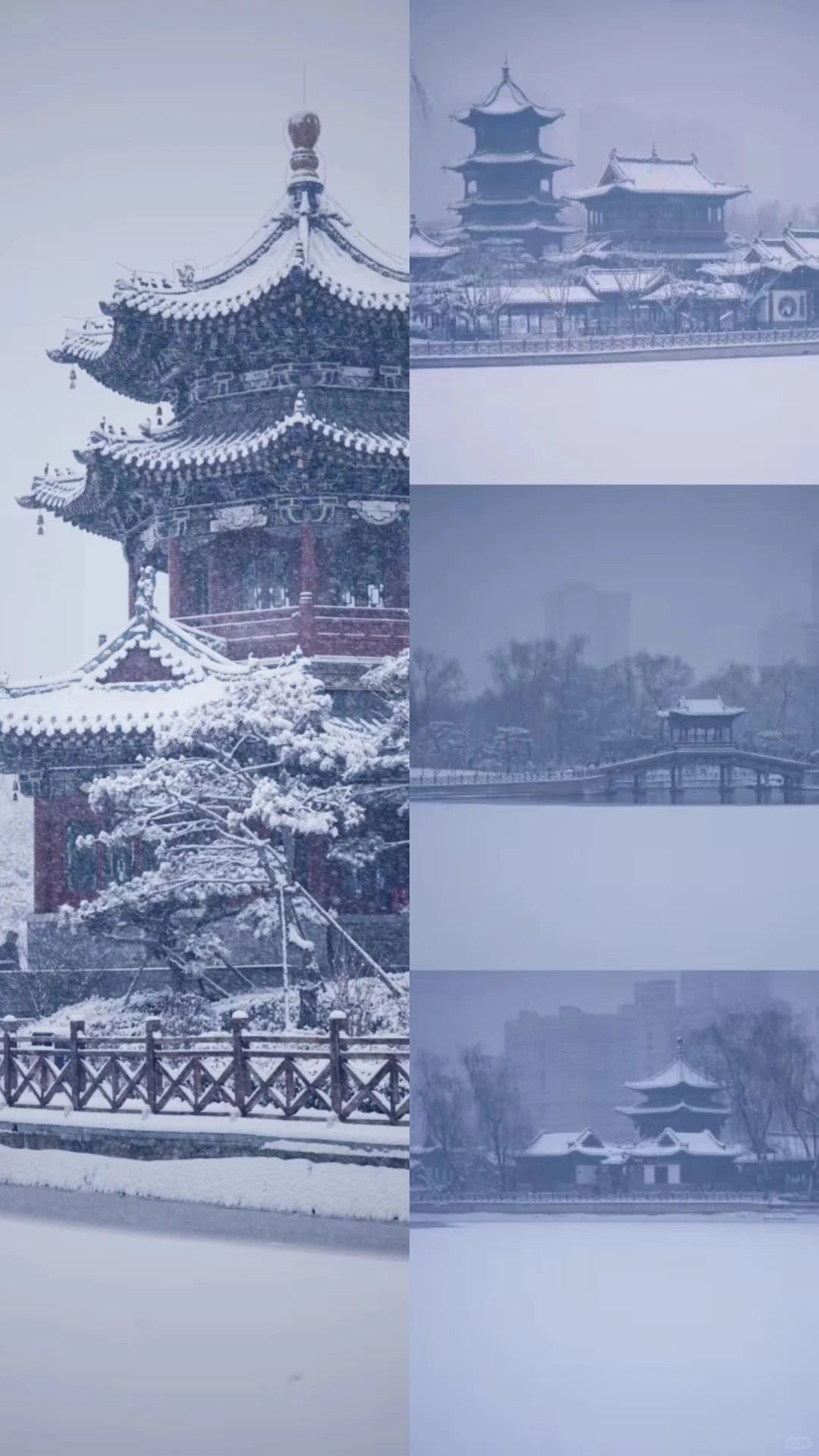 太原|周五下雪去哪拍