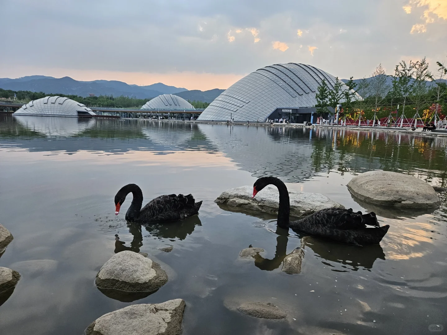 太原植物园网红电梯值得吗？实测