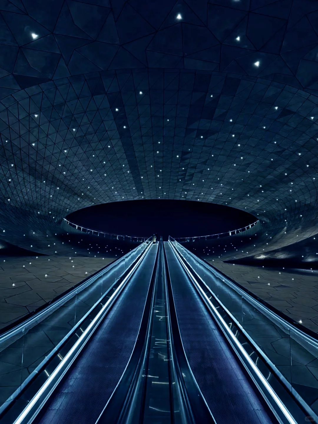 太原植物园 | 星空电梯 | 真的太美了！