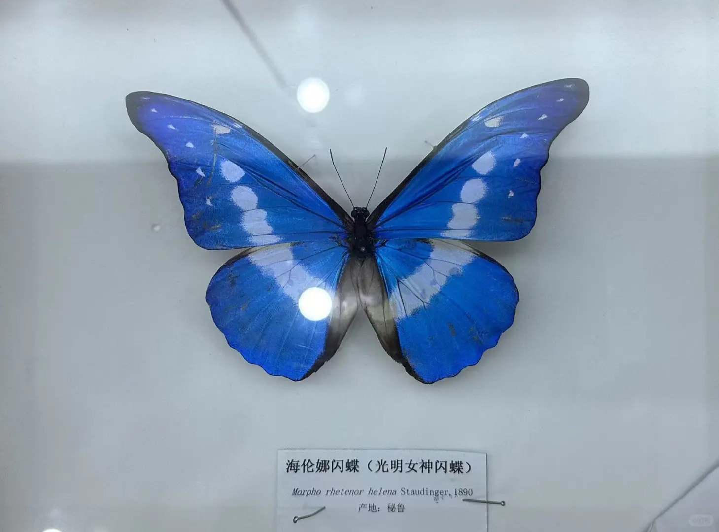 太原植物园！！超全游玩攻略！！一定要看！