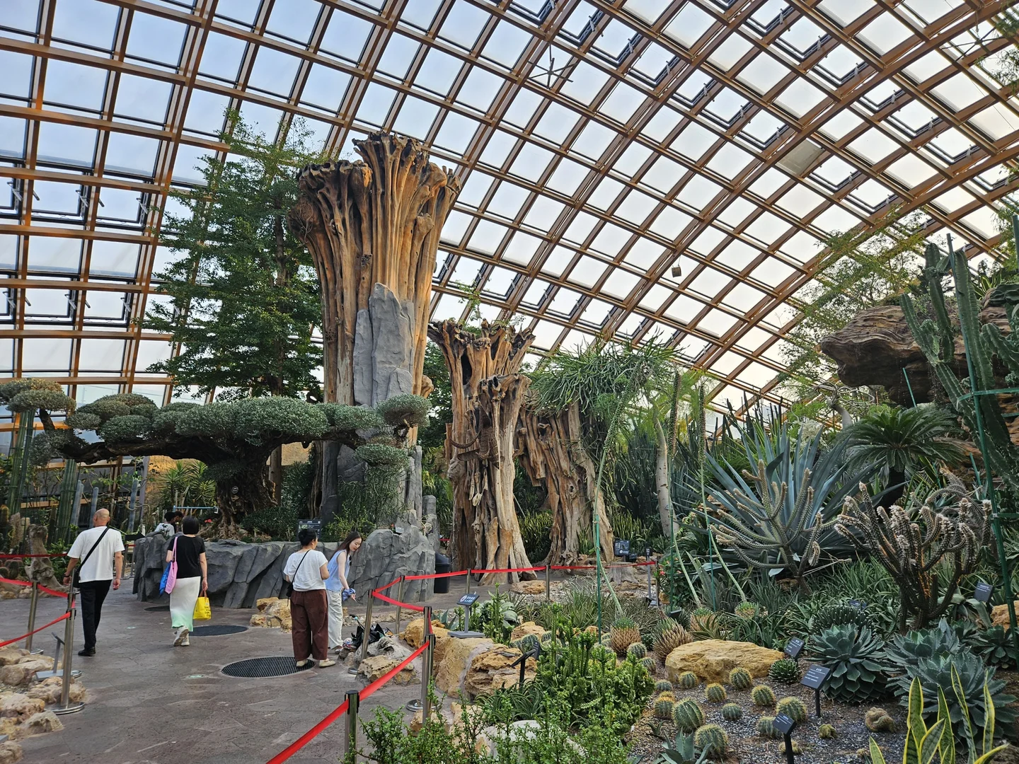 太原植物园网红电梯值得吗？实测