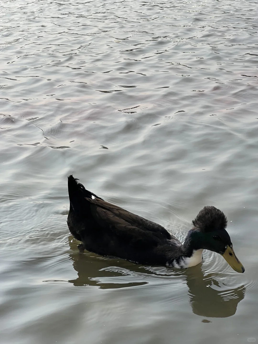 太原植物园也太大了！